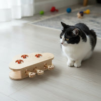 Pouncing-and-Play Cat Toy Mental Enrichment Cat Activity Toy Engaging for Cats, Kittens, Solo Activity