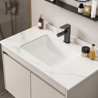 70cm Bathroom Vanity with Sink, Wall Mount Vanity with Integrated Basin, Cream Aluminum Alloy Carbon Fiber Door Bathroom Vanity Set