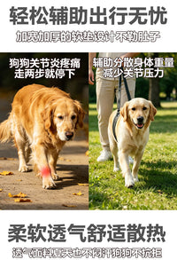 狗狗辅助带老龄犬上楼腿部背带走路狗腿护残疾疾复带跨境代发XJ
