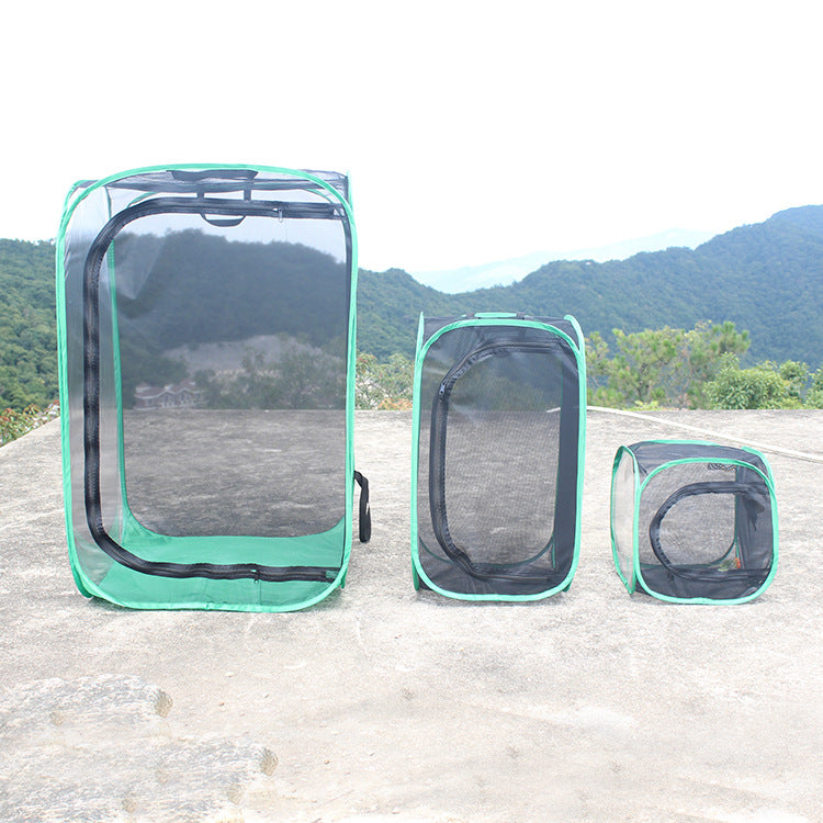 Foldable Insect Rearing Cage with Black Net and Green Edge