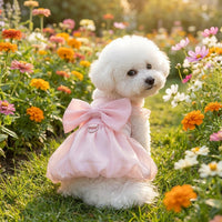 Princess Dress for Dogs and Cat Dress, Solid Butterfly Sleeve Polyester Fiber Pet Outfit, Princess Dress for Cats and Dog Dress for Small Maltese