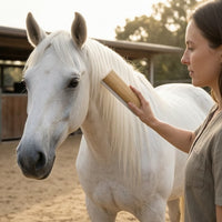Horse Shedding Tool Professional Shedding Blade with Wooden Handle Easy to Clean