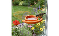 Window Suction Cup Bird Feeder Easy Observation Suction Cup Hummingbird Feeder