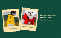 Dog Outfit, Warm Four-Legged Coat, Fashionable Winter
