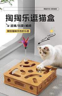 Cat Toy Puzzle Box with Wand and Balls for Interactive Play