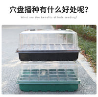 高盖大号育苗箱透气型两件套育苗种植移栽多功能多肉播种育苗专用