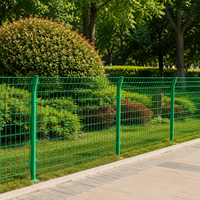 Double Wire Mesh 4.5mm Galvanized Low Carbon Steel Fence 3m Green Highway Falling Object Prevention Fence