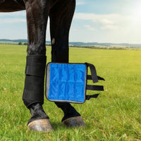 Horse Leg Wrap with Ice Pack Cooling Horse Ice Pack Wrap Therapeutic Cold Compress Wrap for Horses, Training Recovery, Stable Management, Transport