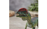 Hand Painted Dilophosaurus Figure Realistic Dinosaur Model Prehistoric Dinosaur Figurine for Boys, Kids, Collectors, Desk Decoration, Classroom