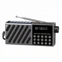 Numeric Keypad Digital Portable Radio Telescopic Antenna USB Bluetooth Radio Recording Function