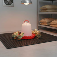 Automatic Chicken Feeder PP Material Bucket Type Chicken Feeder Heavy Duty for Farm, Backyard