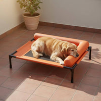 Elevated Dog Bed Raised-the-Ground Design Raised Pet Cot Easy to Clean