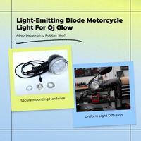 QJ 300/350 yellow turn signal