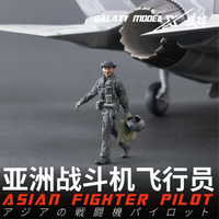 Xinghe Moban Asian Fighter Pilot 1/48 3D Printed Model