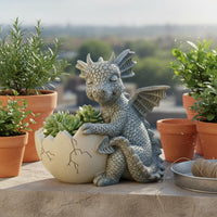 Dragon Planter Decorative Ornament Young Dragon Statue Pot Fantasy Theme Resin Pot for Balcony, Patio, Desktop