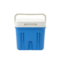 Portable Insulated Cooler Box Compact Hard-Shell Cooler Lightweight Ice Chest with Handle for Campers, Picnickers