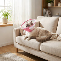 Pet Cone for Dogs and Cats, Transparent Rigid Dog Cone and Cat Cone, Pet Recovery Tool to Prevent Licking After Surgery, Grooming Cone