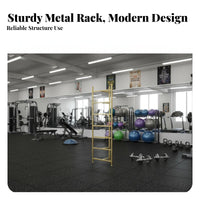 Space-Saving Design Half Balance Ball Storage Rack Steel Frame Construction Balance Ball Storage Rack Stable Structure Large Capacity for Fitness Studio