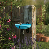 Plastic Birdbath with Clamp Shallow Heated Birdbath Easy to Install Hanging Bird Bath Long-Lasting for Garden