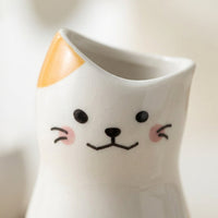 Japanese Sake Set, Fresh & Cute Style, 601-700ml