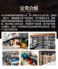 跨境爬宠乌龟晒背灯欧规美规陆龟补钙保暖加热灯乌龟宠物夹子灯 欧规