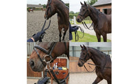 Woven Strapping Lead with Snap Hooks Flat Horse Lead Rope with Snap Hook Flexible Horse Training Rope Sturdy for Riders, Groundwork, Stables