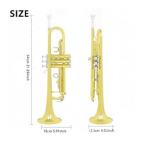 Standard Bb Trumpet Gold-Plated Trumpet with Hard Case and Mouthpiece Golden Polished for Beginners