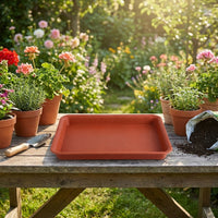 Plant Trays and Rectangular Saucers, Deepened Drip Tray for Indoor Pot, Nestable Water Tray for Family Gardening, Assorted Colors Available, 1PK