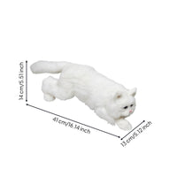 Bicolor Feline Figurine Collectible Home Decor Photo Props for Teaching Aid
