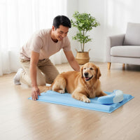 Dog and Feline Cooling Bed Portable Pet Cooling Mat with Pillow for Dogs