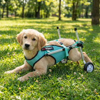 Lightweight Adjustable Dog Wheelchair Aluminum Alloy Hind Leg Wheelchair Mesh Textile Hind Leg Support Carriage Rehabilitation