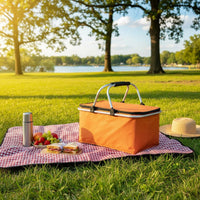 Insulated Outdoor Basket with Lid Outdoor Carrier Sturdy for Travel