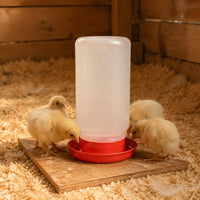 Chick Feeder and Waterer Set Sturdy Quail Chick Feeder Even Surface