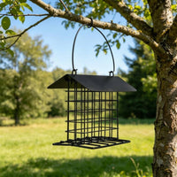Metal Bird Feeder House Iron Outdoor Pet Supply Flat Tray for Garden