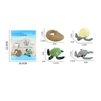 4 Pieces Molded Animal Life Cycle Toy Three-Dimensional Life Cycle Model Learning Educational Figures Realistic for Science Lessons
