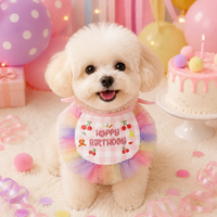 Plaid Dog Birthday Bandana and Hat Set, Princess Dog Birthday Outfit for Small Dogs, Lace Trim Pet Party Accessories