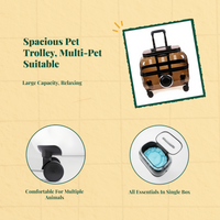 Expandable foldable pet carrier