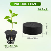 跨境新款2英寸多色EVA水培种植泡棉适用于项圈定植海棉育苗基质块