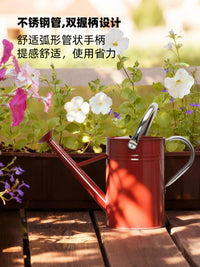 沃施worth洒水壶长嘴铁制浇花壶家用大容量浇水壶复古园艺花洒壶