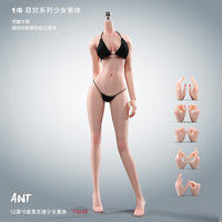现货ANT 1/6兵人女素体T303 T303P窈窕全钢骨包胶 关节可动女素体