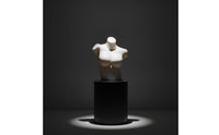 Female Torso Mannequin Glossy Mannequin Torso with Stand Armless for Fashion Showroom