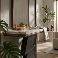 Narrow Profile Entryway Display Table Sintered Stone Top Sculptural Pedestal Console Modern Design Home Furniture Heat-Resistant for Interior Designers, Decorators, Art Lovers, Foyer, Small Areas, Living Room, Behind Sofa