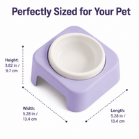Elevated Pet Bowl, Ceramic Cat Food Bowl with Stand, 175ml Anti Vomit Shallow Dish for Felines & Small Dogs