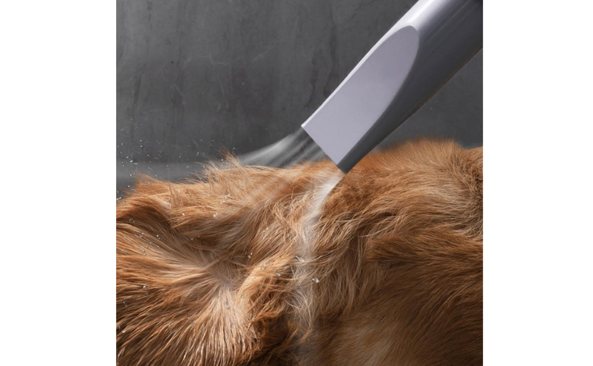 Pet Grooming Blow Dryer Flexible Hose Pet Grooming Dryer Touch Control Panel