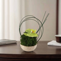 Artificial Plant with Stone Bowl Sculptural Artificial Flower Arrangement Simple Care Decor for Desk, Coffee Table