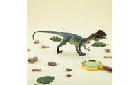 Hand Painted Dilophosaurus Figure Realistic Dinosaur Model Prehistoric Dinosaur Figurine for Boys, Kids, Collectors, Desk Decoration, Classroom