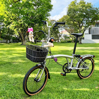 Stainless Steel Bike Basket with Quick Release, Large Capacity, for D7/D10