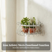 Semicircle Wall Basket Decorative Plant Holder Easy Installation for Gift Givers