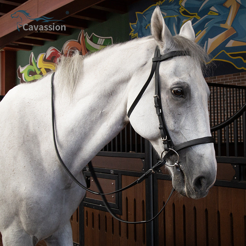PVC Horse Bridle with Headpiece for Equestrian Use