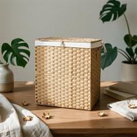 Laundry Hamper with Lid Collapsible Bin Portable for Closet